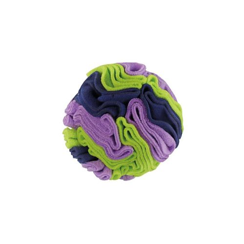 Record Gioco Cane Sniffy Olfattivo Palla