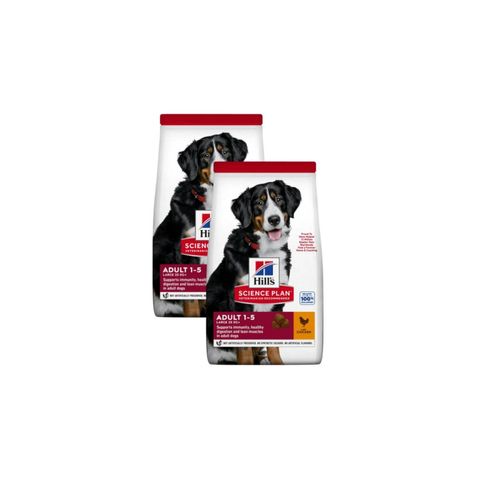 Kit Risparmio 2x18KG Hill's Science Plan Large Adult Dog