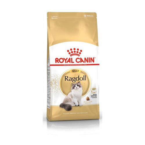 Royal Canin Ragdoll Alimento completo secco per gatti adulti