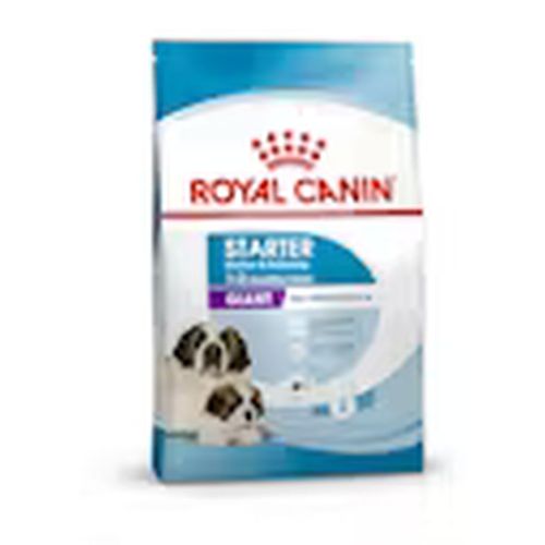 Royal Canin Starter Mother & Babydog Giant