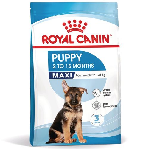 Royal Canin Maxi Puppy Alimento completo per cuccioli di taglia grande Fino a 15 mesi di età