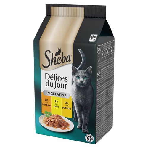 Sheba Délices Du Jour in Jelly Cat Busta Multipack 6x50G