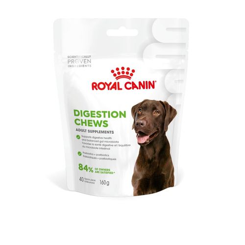 Royal Canin Adult Digestion Chews