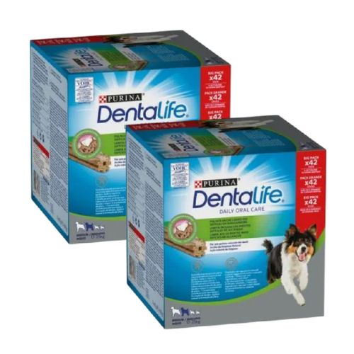 Kit Risparmio 84PZ Purina Dentalife Snack Cane Medium