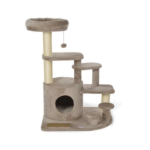 AniOne Tiragraffi Senior Beatrix