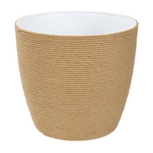 Anione Tiragraffi Judi