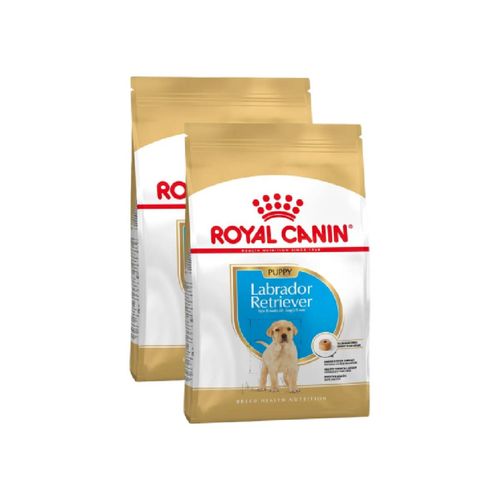 Royal Canin Puppy Labrador Retriever