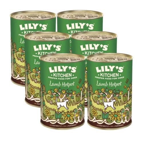 Kit Risparmio 6x400G Lily's Kitchen Recipe Dog