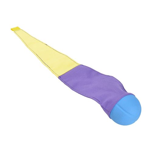 Anione Gioco Cane Aquilone