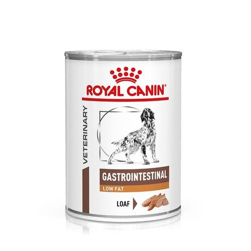 Royal Canin V-Diet Gastrointestinal Low Fat Alimento dietetico completo per cani adulti