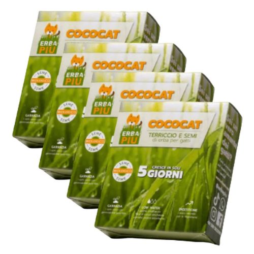 Erba Più Cococat Terriccio e Semi di Erba per Gatto