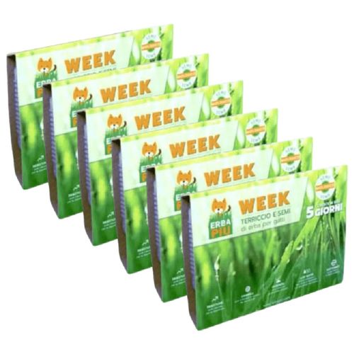 Erba Più Week Kit di Semina