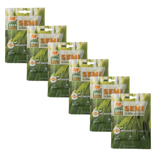 Erba Più Semi di Erba per Gatto