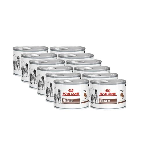 Royal Canin V-Diet Recovery Cane e Gatto