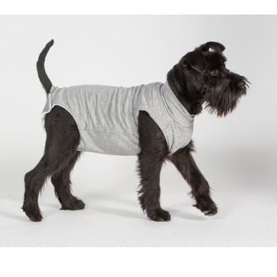 Body Post Operatorio per Cane e Gatto