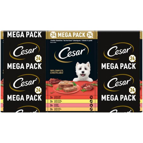 Cesar Dog Ricette Classiche Vaschetta Multipack 24X150G