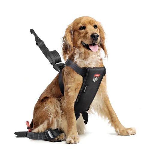 Zolux Babyauto Dog Travel Imbracatura di Sicurezza Nera
