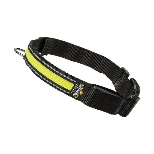 Collare Luminoso Night C