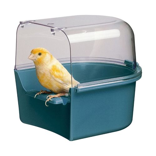 Bagnetto per Canarini