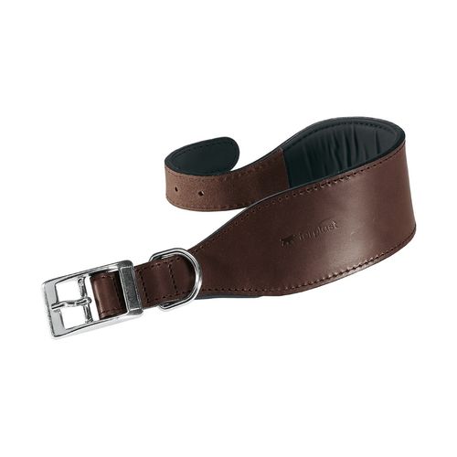 Collare Levriero Vip Cw Marrone
