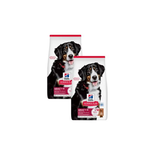 Kit Risparmio 2x14KG Hill's Science Plan Large Adult Dog