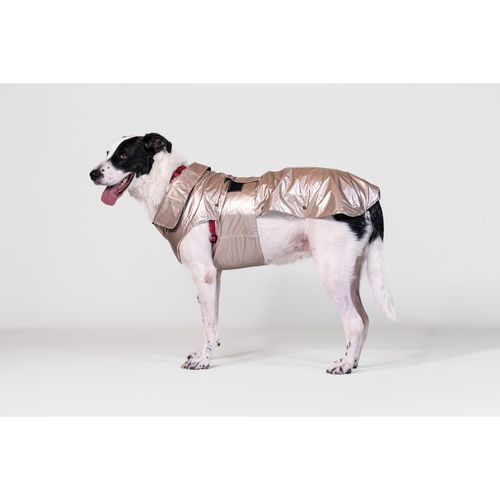 Yes! Cappotto Impermeabile Cane Montreal Perla