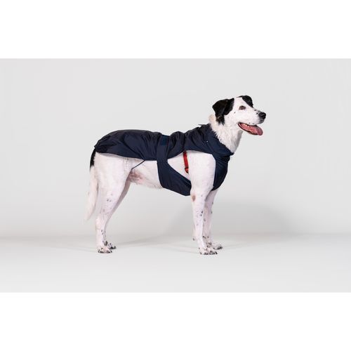Lovedì Cane Cappotto Impermeabile Staccabile Blu