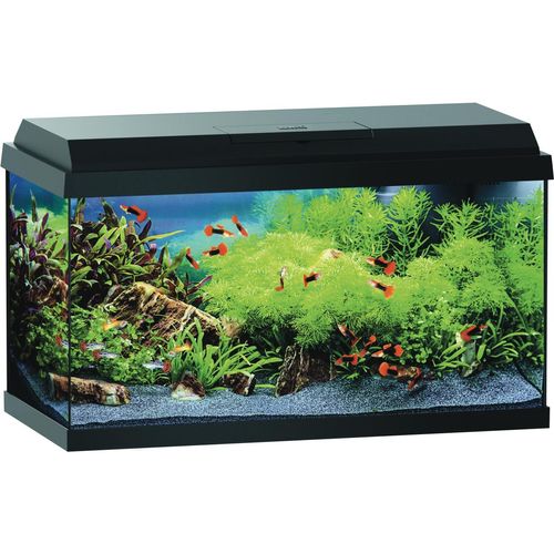 Anione Starter Kit per Acquario