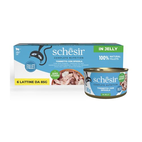 Schesir Cat Lattina in Gelatina Multipack 6x85G