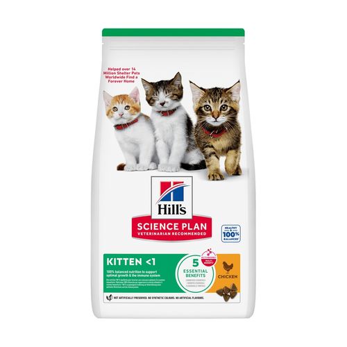 Hill's Science Plan Kitten Pollo