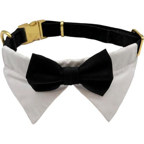 Croci Collare per Cane Smoking Ceremony