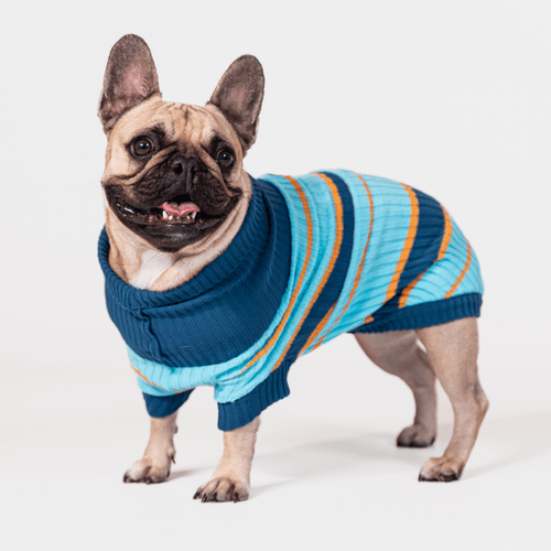 AniOne Dog Maglione Little&Trendy Lou