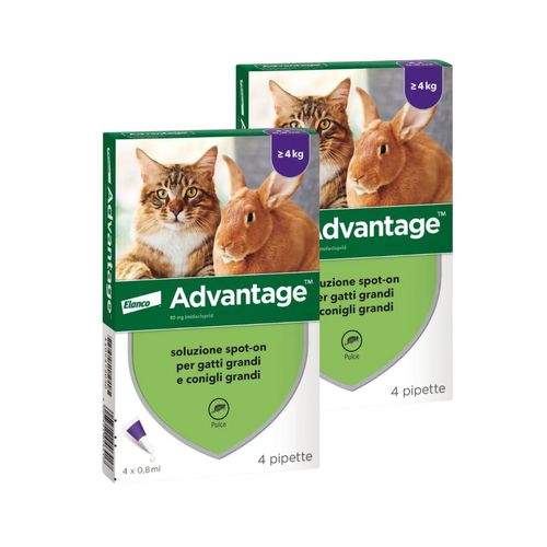 Advantage Antiparassitario Spot on per Gatti sopra i 4KG
