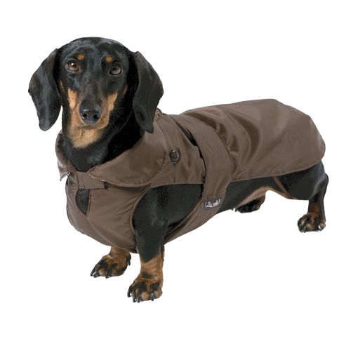 Lovedì Impermeabile per Bassotto con Imbottitura Staccabile