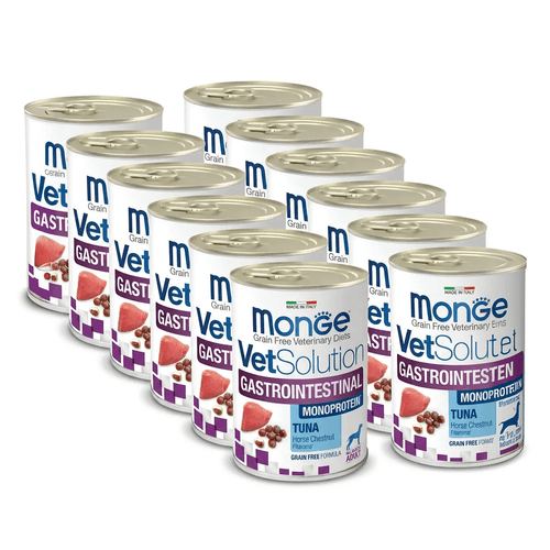 Monge Vet Solution Gastrointestinal Dog