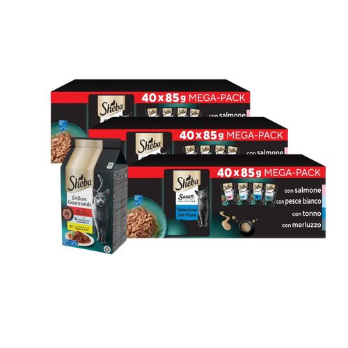 Kit Multigusto Sheba Delicatezze 120x85 + 6x50g Délices Du Jour incluso