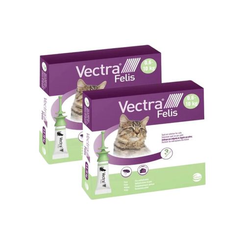 Vectra Felis Antiparassitario per Gatti 0.6-10KG