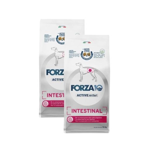 Forza10 Dog Active Vet Diet Intestinal