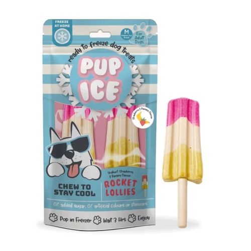 Pup Ice Rocket Lollies Gelato per Cani 90G