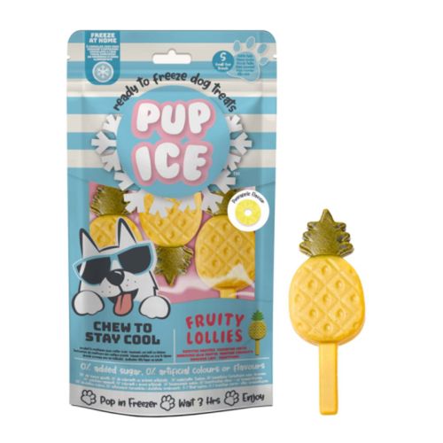 Pup Ice Fruity Lollies Gelato per Cani 90G